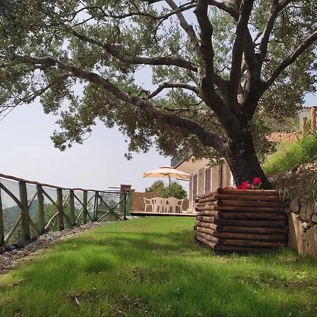 Il Ciuffo: Ampia Casa Panoramica Con Parcheggio. *